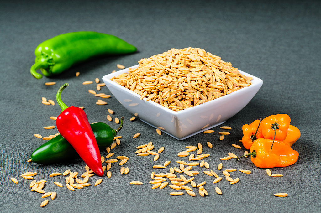 Spicy Red Hot Thai Curry Orzo - 16 oz.
